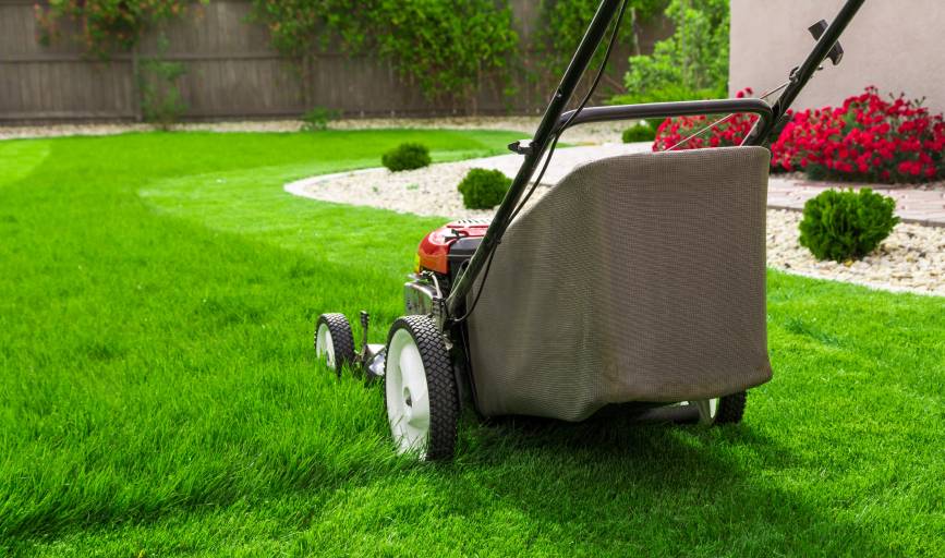 Lawn Mowing